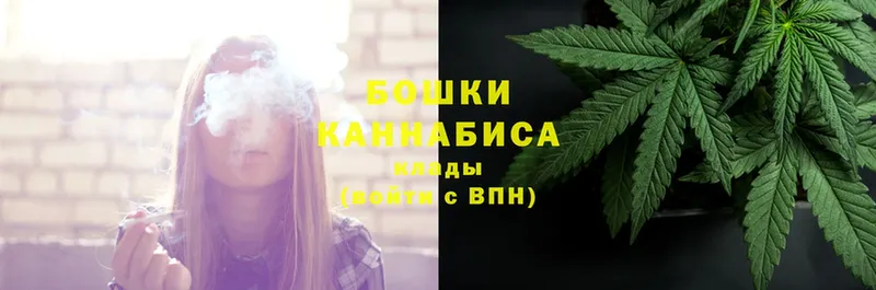 Бошки Шишки Ganja  Тимашёвск 